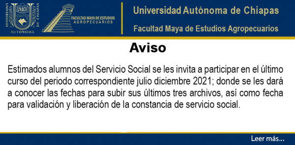 INVITACIÓN AL CURSO DE SERVICIO SOCIAL