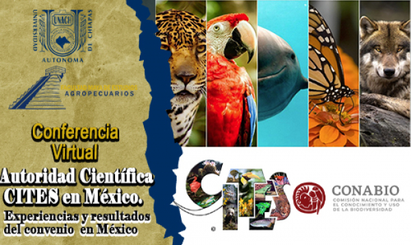 Conferencia Virtual: Autoridad Científica CITES en México.  Experiencias y resultados del Convenio en México.